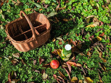 Charger l'image dans la galerie, Panier Théodore