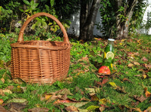 Charger l'image dans la galerie, Panier Théodore