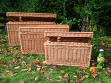 Charger l'image dans la galerie, Coffre de rangement