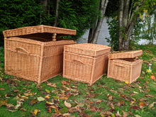 Charger l'image dans la galerie, Coffre de rangement