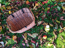 Charger l'image dans la galerie, Panier avant XL pour animaux