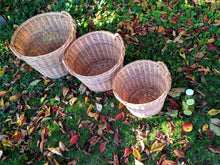 Charger l'image dans la galerie, Manne Polly