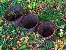 Charger l'image dans la galerie, Manne Betty