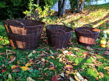 Charger l'image dans la galerie, Manne Betty