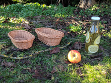 Charger l'image dans la galerie, Corbeille Obline