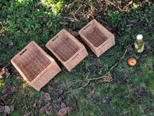 Charger l'image dans la galerie, Panier Rex