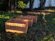 Charger l'image dans la galerie, Panier Rex